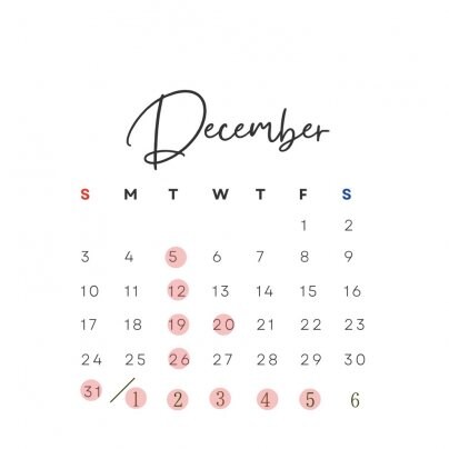 2023年12月ご案内