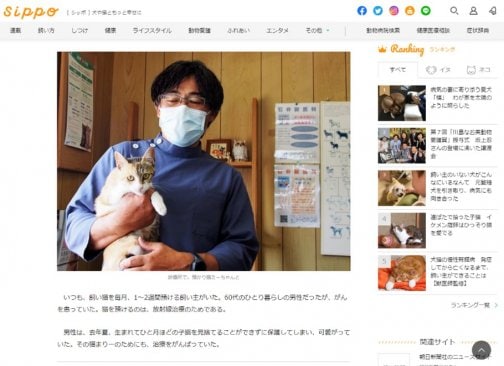 情報サイト「Sippo(シッポ)」掲載