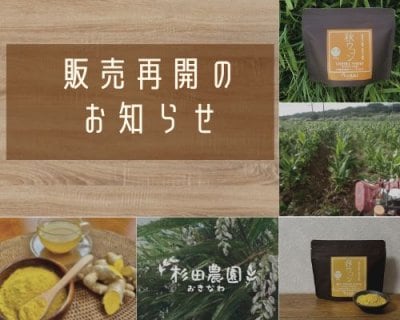 販売再開のお知らせ