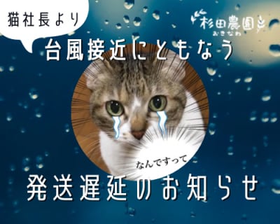 【再開しました！】台風６号上陸にともなう、発送遅延のお知らせ
