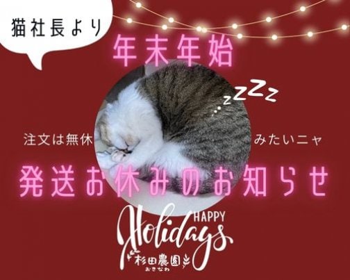 年末年始の発送お休みのお知らせ