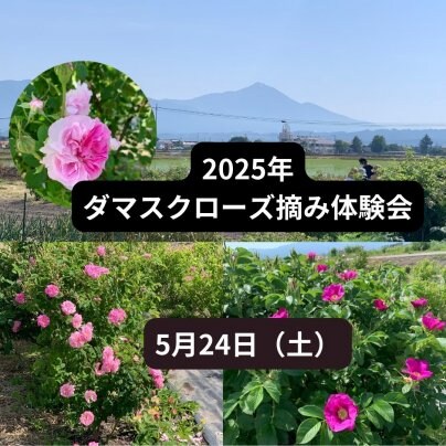 5月24日に開催予定のイベントについて