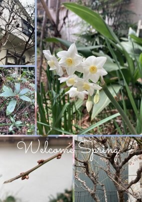 ご近所へのご挨拶