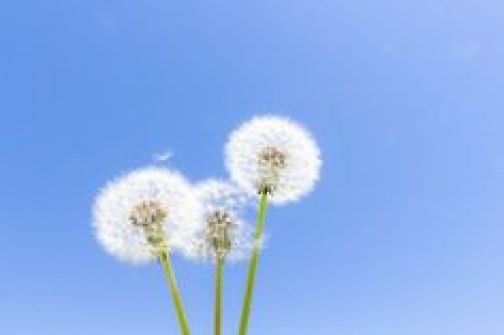 最高の娘代行サービスができたことに感謝♡