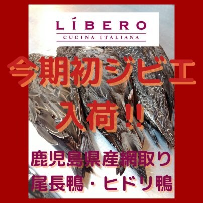 今期初ジビエ！入荷いたしました！！