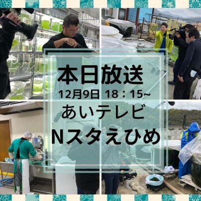 本日放送！あいテレビ「Nスタえひめ」のSDGs企画