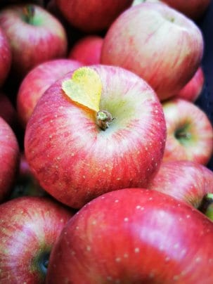 20組様限定オンラインDEシェアオーナーパートナー様募集開始！