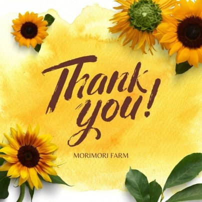 エシカルりんご