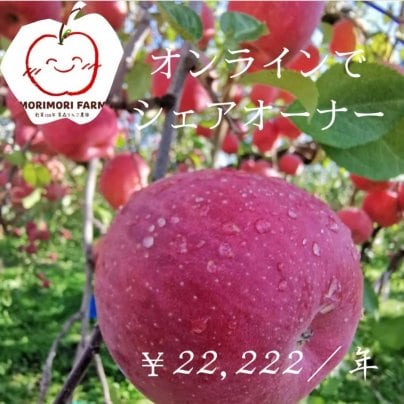 りんごのシェアオーナーパートナー様大募集