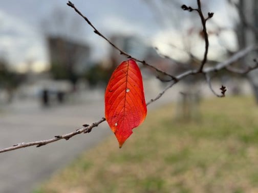 2022年12月のお休み