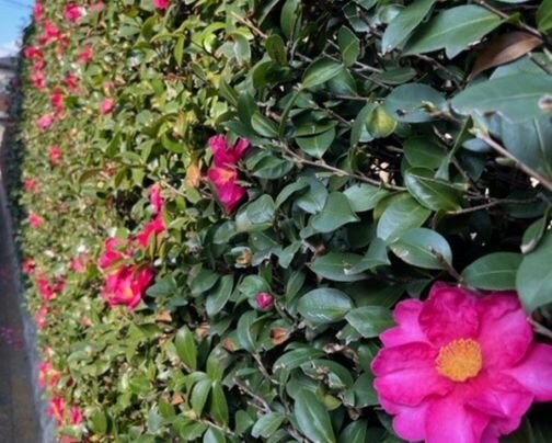 年末年始休みと2023年1月のお休み