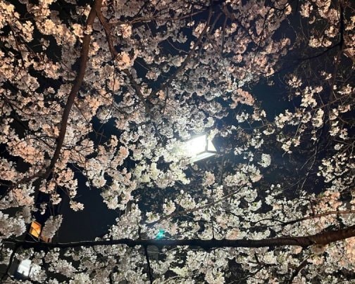 2023年4月のお休み