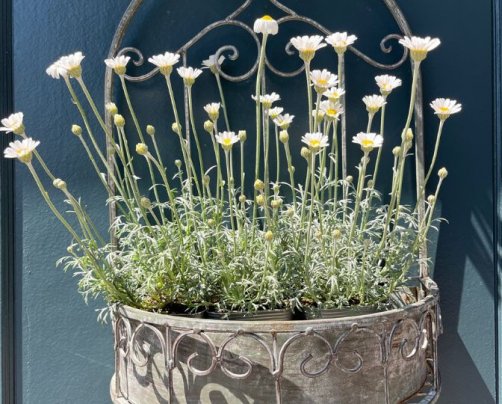 ゴールデンウイークと2023年5月のお休み