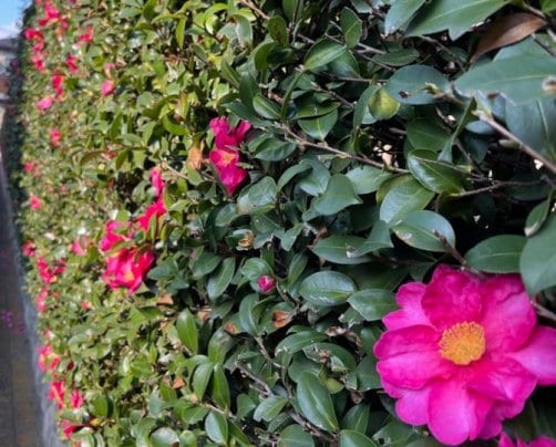 2023年12月のお休み