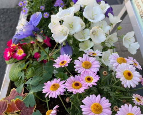 2024年4月のお休み