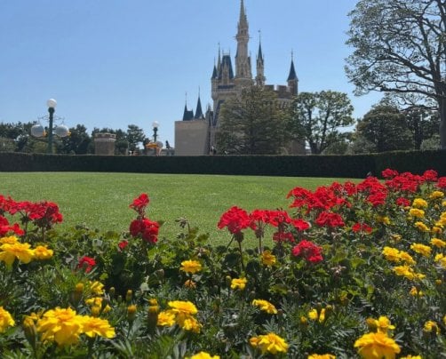 2024年5月のお休み