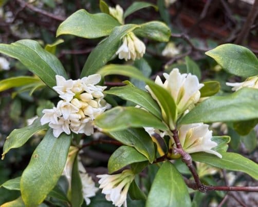 2025年4月のお休み