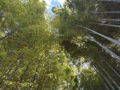 2025年10月のお休み