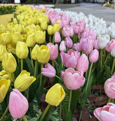 2026年4月のお休み