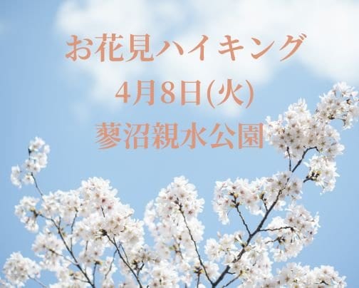 お花見ハイキング開催します。