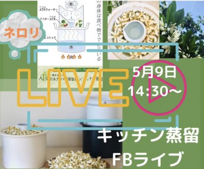 ネロリ（ビターオレンジの花）蒸留ライブします