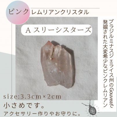 １２月高ポイントピンクレムリアン