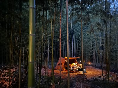 オープン前モニターご利用のウェブチケットを販売開始しました！