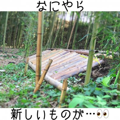キャンプ場整備進捗情報！       【なにやら新しいものが…】
