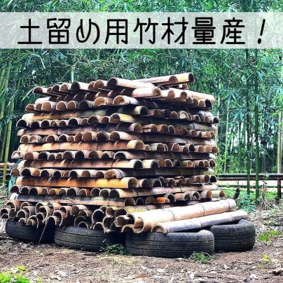 キャンプ場整備進捗情報！     【土留め用竹材量産！】
