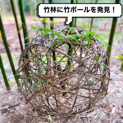 【かぐやでは何やら気になるものが…👀】