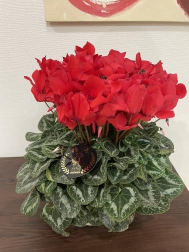 年末年始のお知らせ