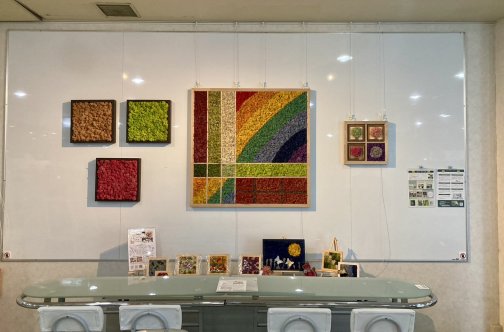 ボウリング場にて展示開催中