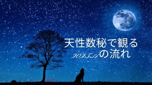 YouTube更新「天性数秘」で観る  ２０２５年１１月の流れ