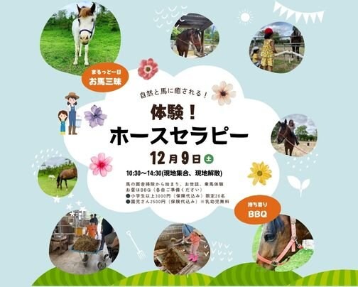 体験！ホースセラピー