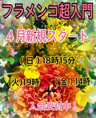 4月超入門クラススタートします。