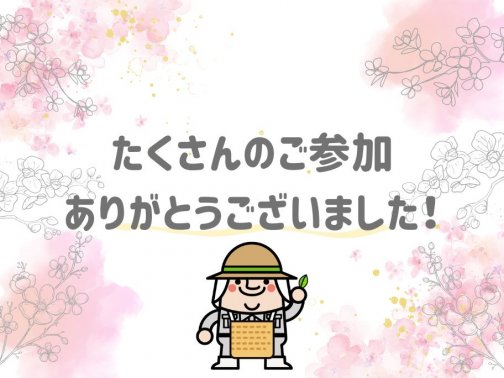 【御礼】お茶摘みイベントへのご参加ありがとうございました！