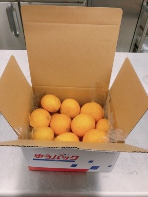 ゆこう果実(レモンイエロー) 残り1個となりました。