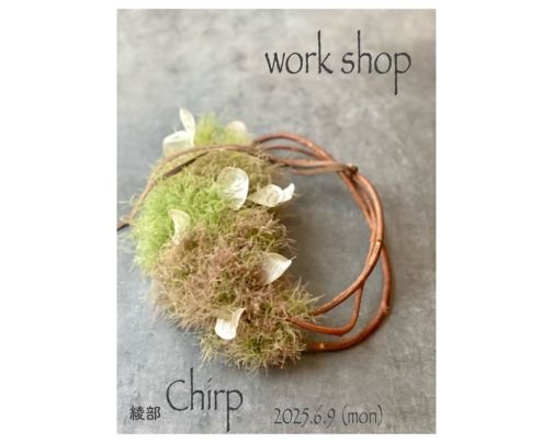 6/9 WS『スモークツリーのハーフリース』