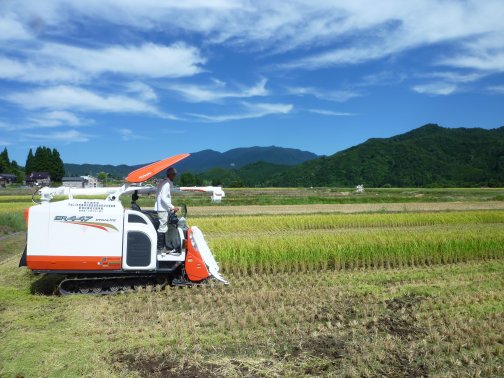 令和5年産【新米】発送承ります