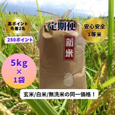 今がチャンス限定数のみ！『高ポイント+プレゼント付き』を販売中