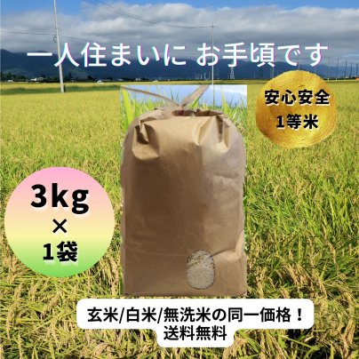 【お試しにお手頃♬】【令和４年長野県産コシヒカリ3kg 】