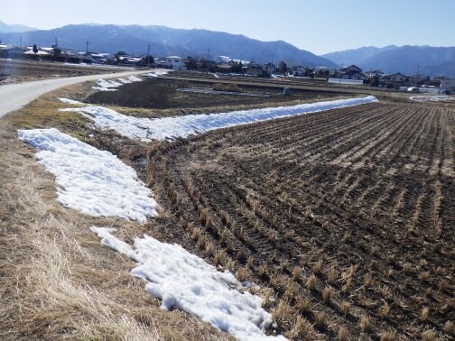 ２月下旬より農作業開始します!