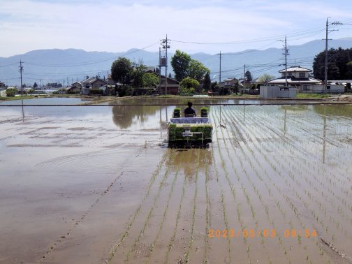 令和5年産、田植え始めました！