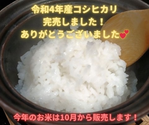 完売しました！ありがとうございました！