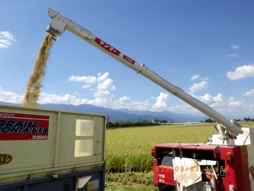 9/3から稲刈りを開始しました