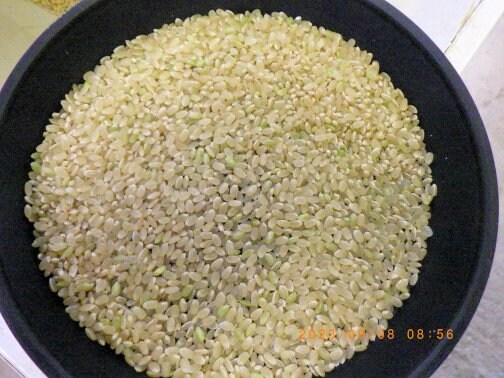 今年一番目のお米