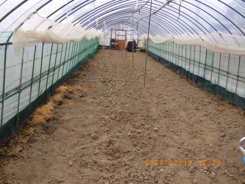 育苗ハウスの片付け、準備開始