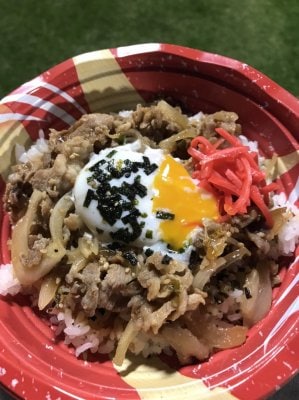 タピック県総ひやごんスタジアム （FC琉球）