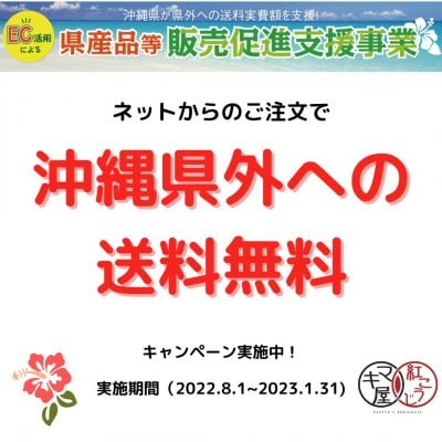 沖縄県外への送料無料キャンペーン実施中！