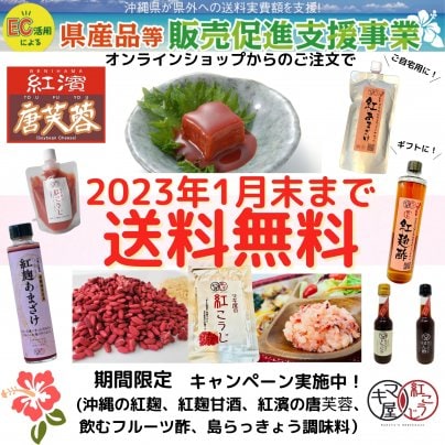 1月末まで送料無料！！